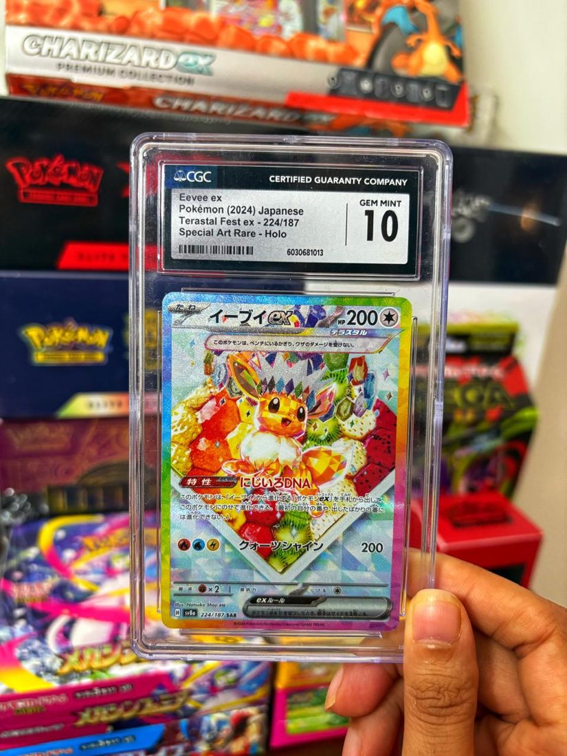 Two Pokémon cards displayed in stands